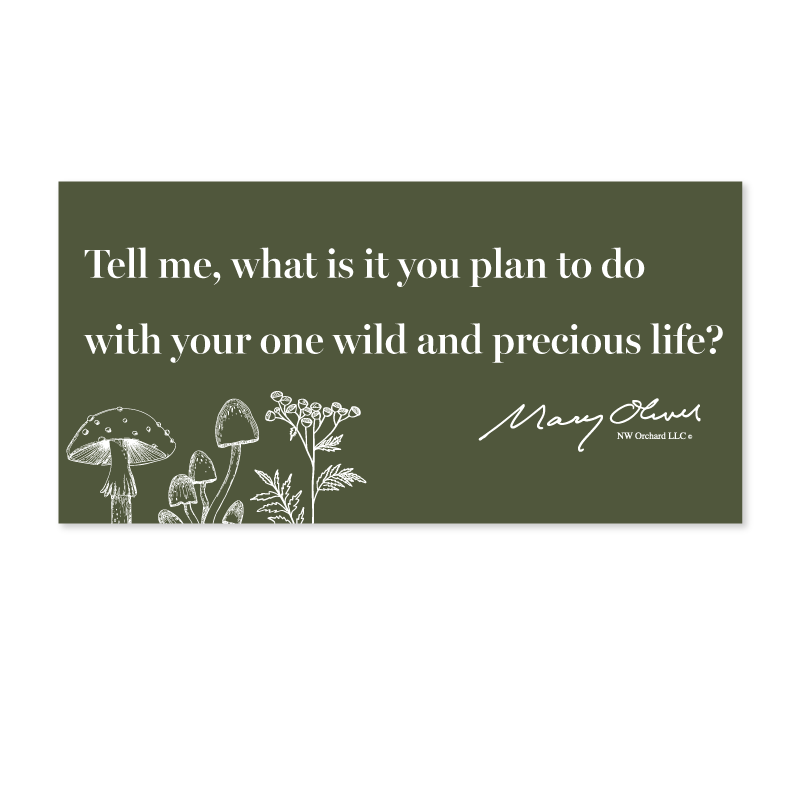 Mary Oliver One Wild and Precious Life Decal