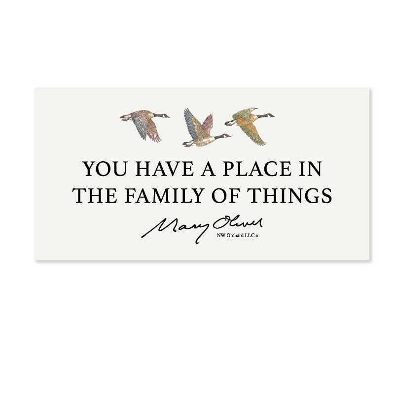 Mary Oliver You Have a Place Pride Decal